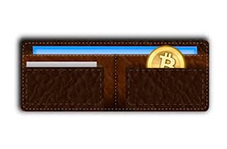 Wallet Bitcoin pequeña